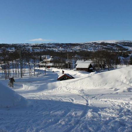 Bergfosshytta Apartment Ron Luaran gambar