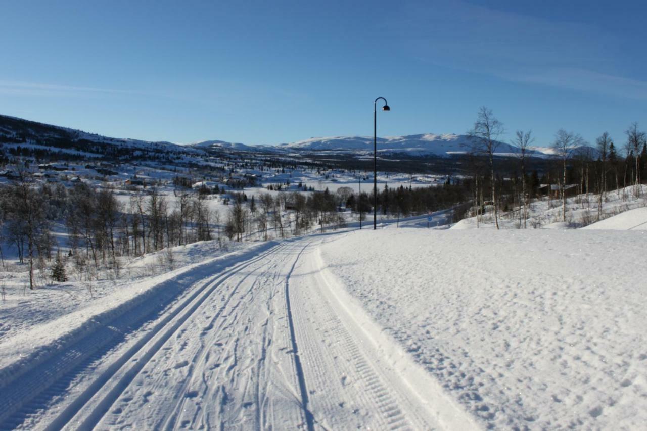 Bergfosshytta Apartment Ron Luaran gambar